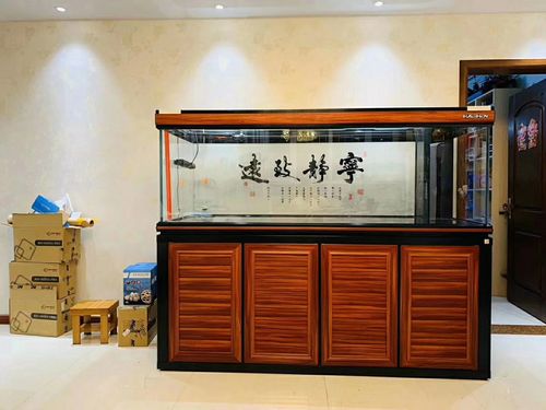 三个品牌产品聚齐啦